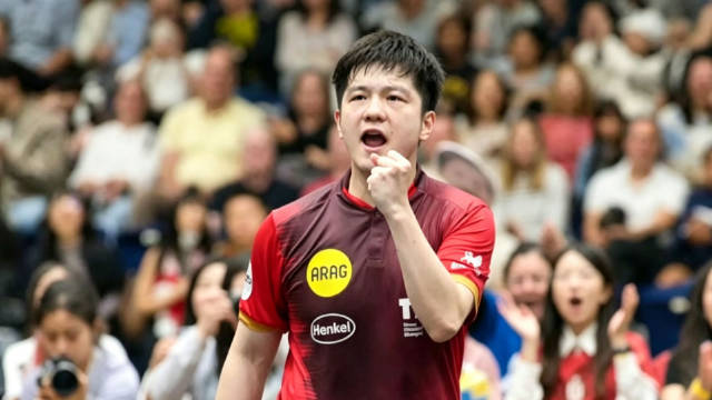 狂轰5-1！乒乓球德甲樊振东彻底杀疯了第一配资门户，无解反手快如闪电