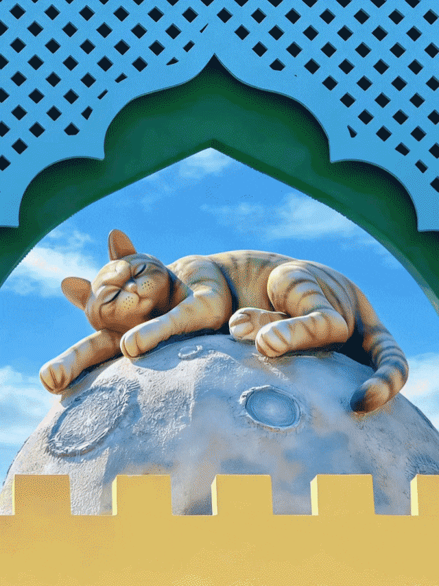 1月亮猫城.gif