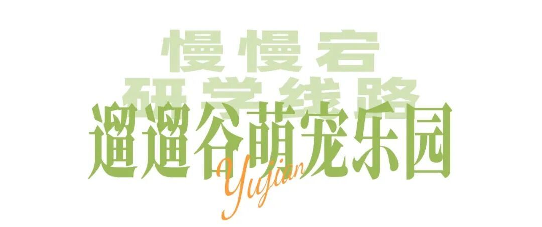 长图海报.jpg