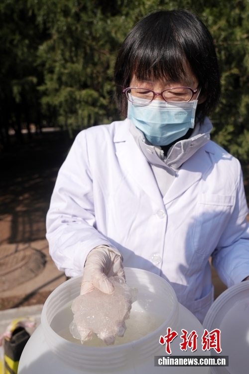 中新社记者 张祥毅 摄