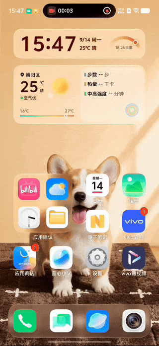 vivo X500深度体验：标准版的名，Pro之心