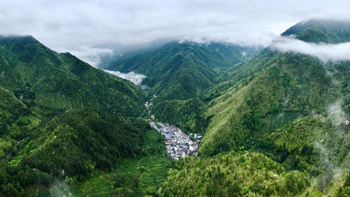 2026年5月8日拍摄的福建武夷山国家公园腹地桐木村一带景观(无人机照片)。新华社记者 姜克红 摄