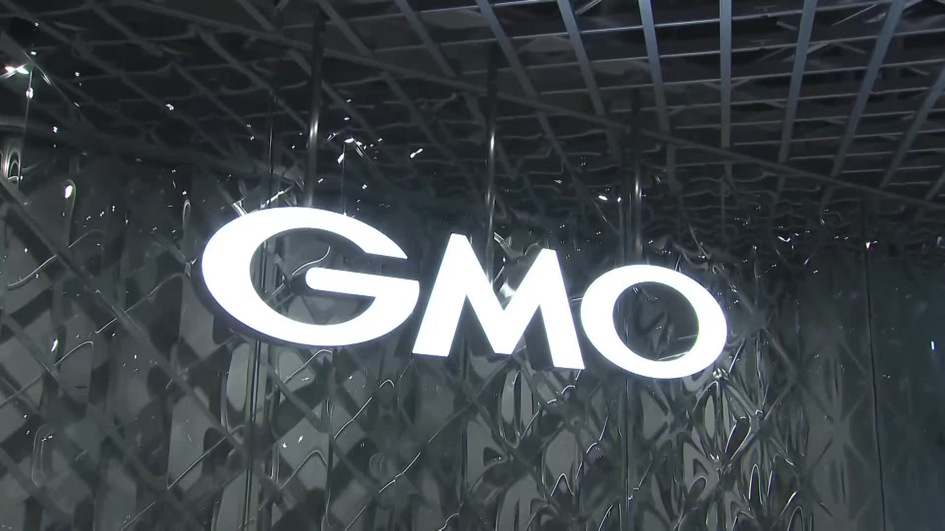 日本GMO互联网集团 资料图片