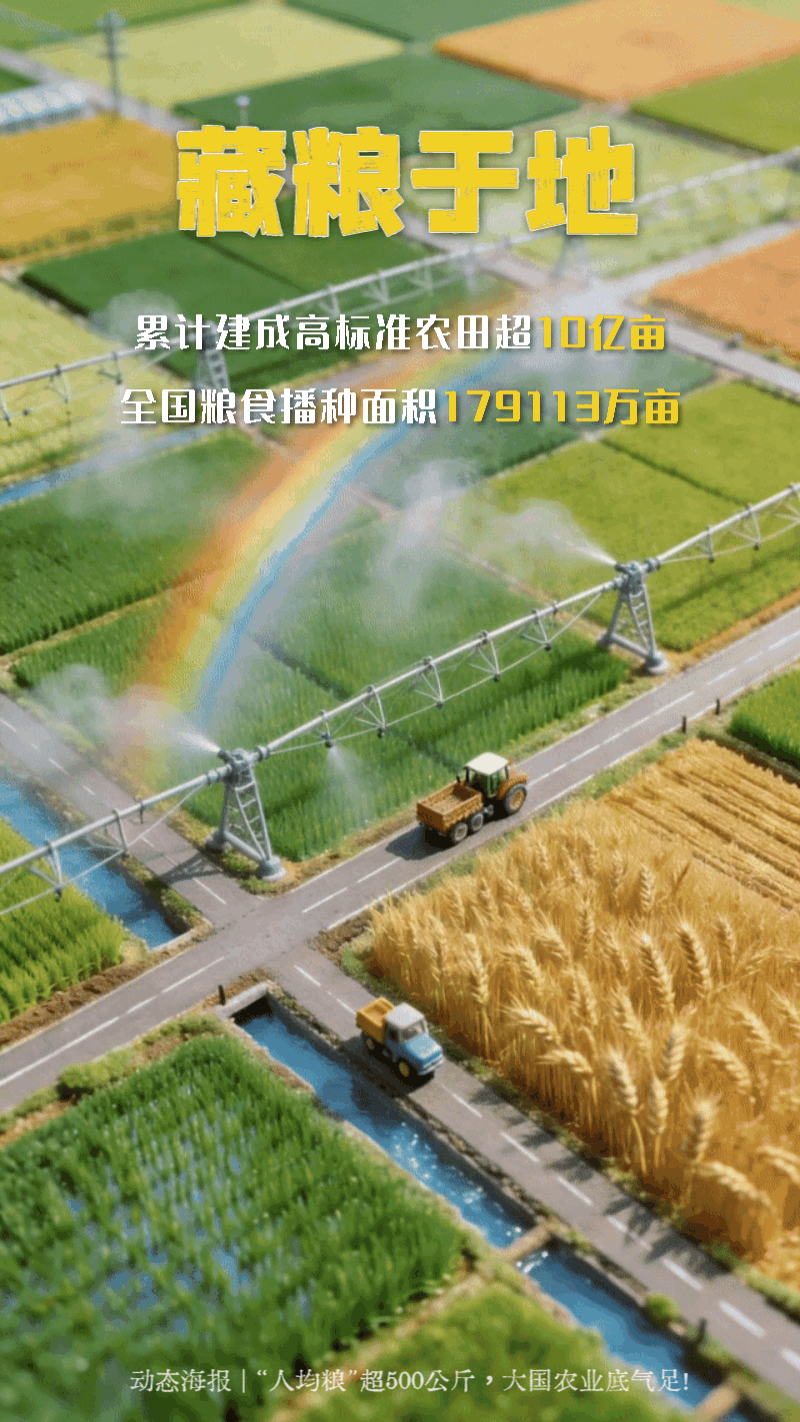 动态海报 | “人均粮”超500公斤，大国农业底气足！