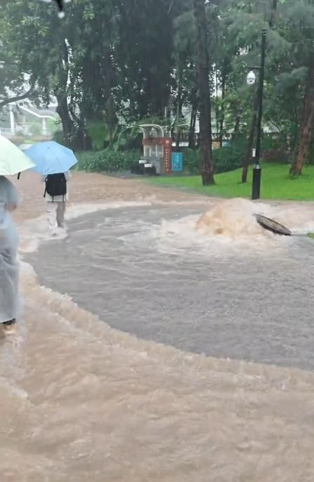 深圳洪湖公园积水