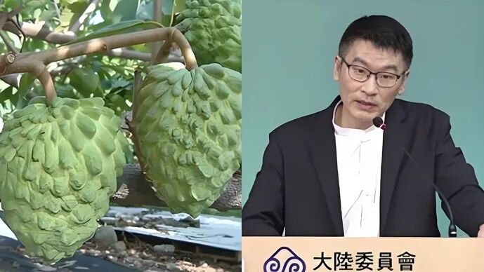 图源:台媒