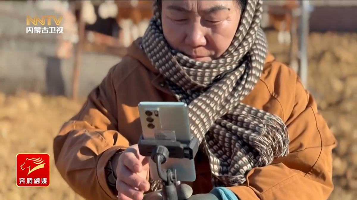视频截图