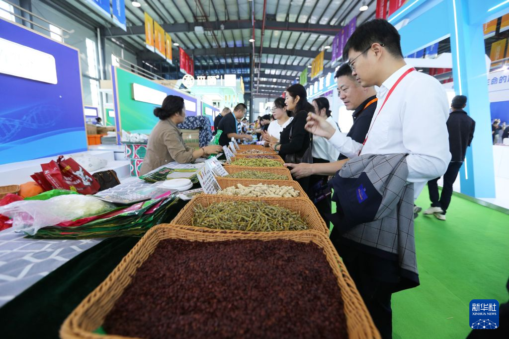 9月4日,与会嘉宾在第七届中国(甘肃)中医药产业博览会现场了解交流各种中药材。新华社发(王克贤 摄)