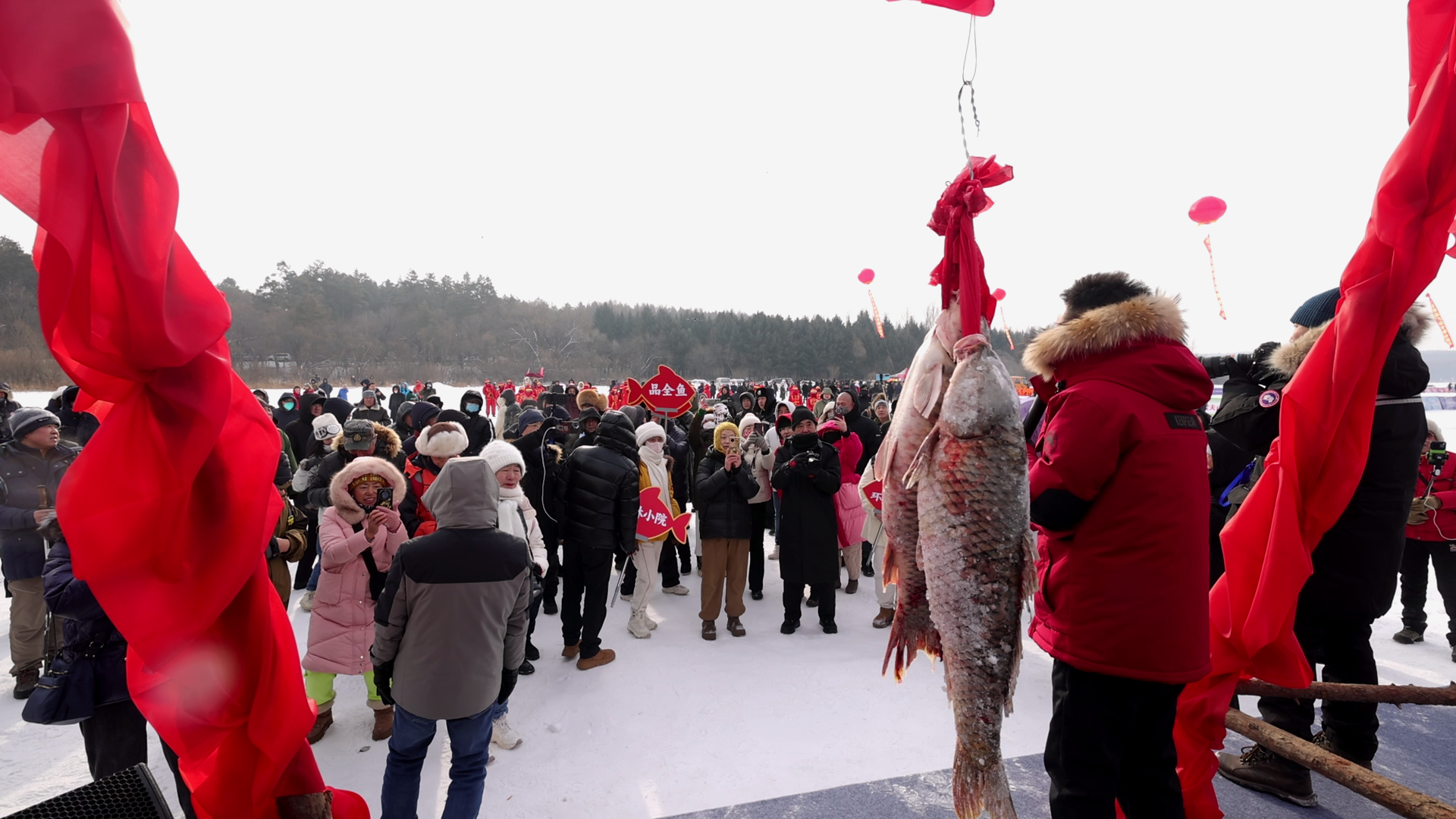 长春净月潭头鱼拍卖,吸引众多游客前来“打卡”(央广网记者 张学龙 摄)