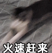 马斯克大火箭把月球撞了个坑