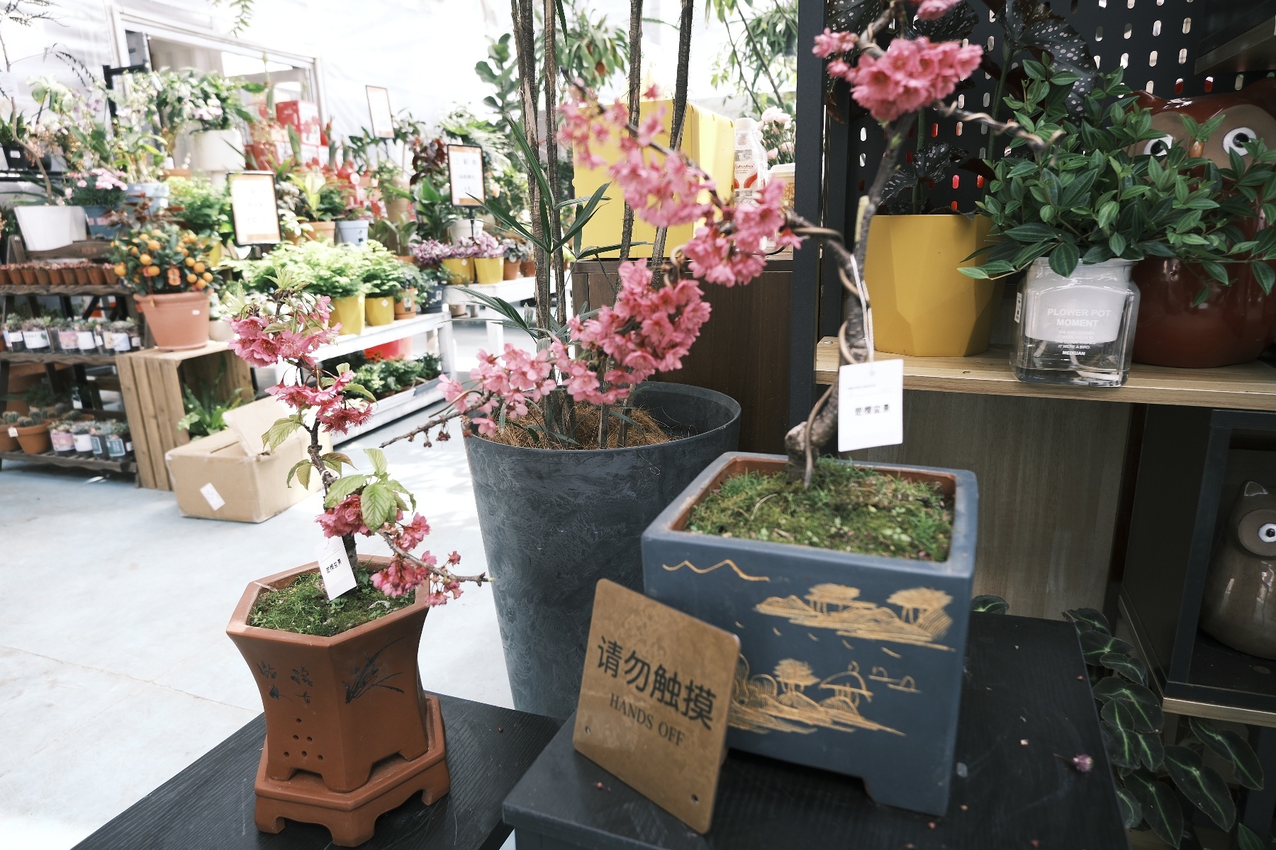 微信图片_20260316125923_1547_345