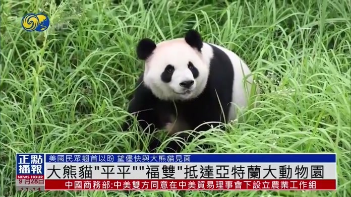 大熊猫“平平”“福双”抵达亚特兰大动物园