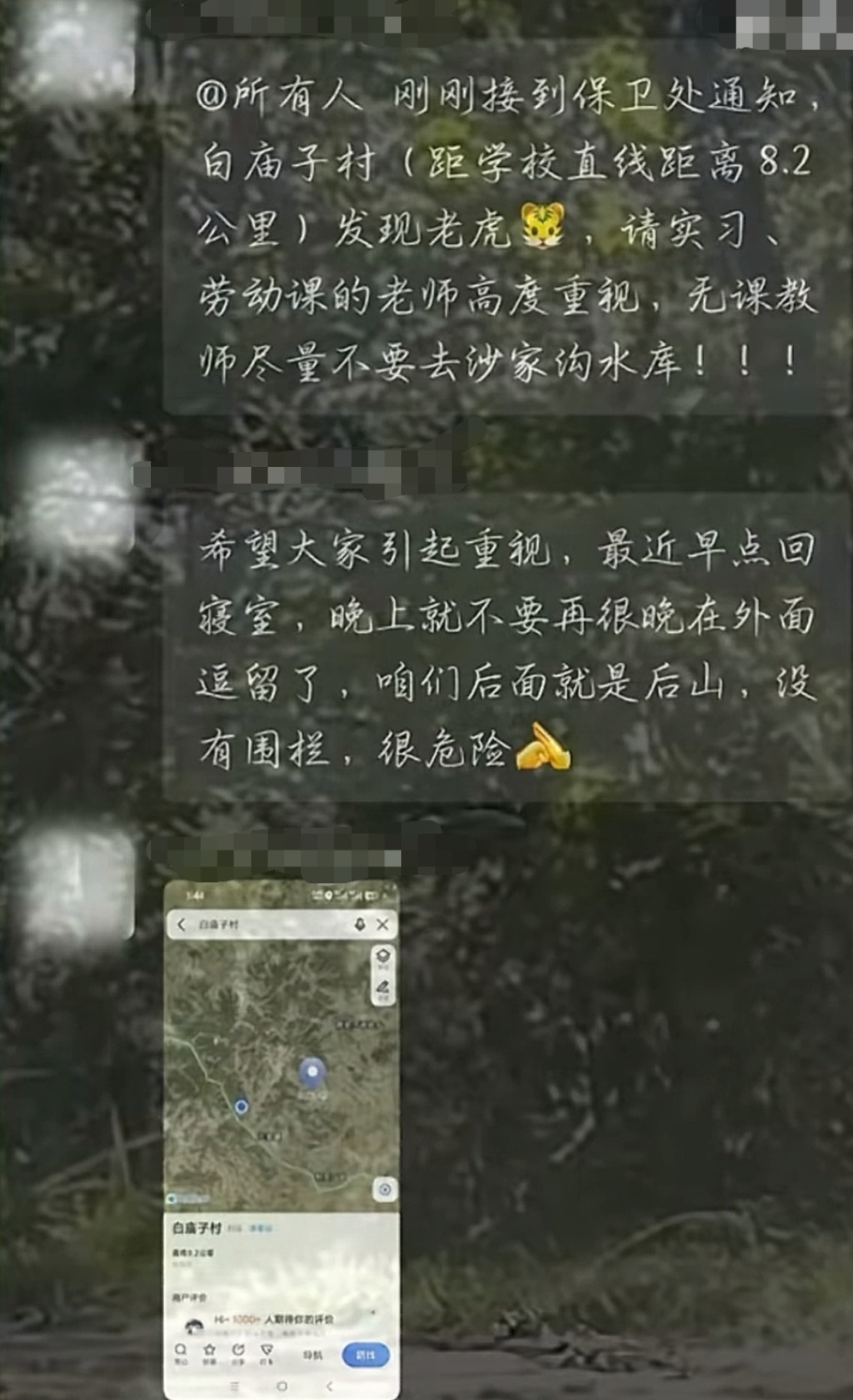 吉林一高校附近山林有东北虎出没 距离校区10公里