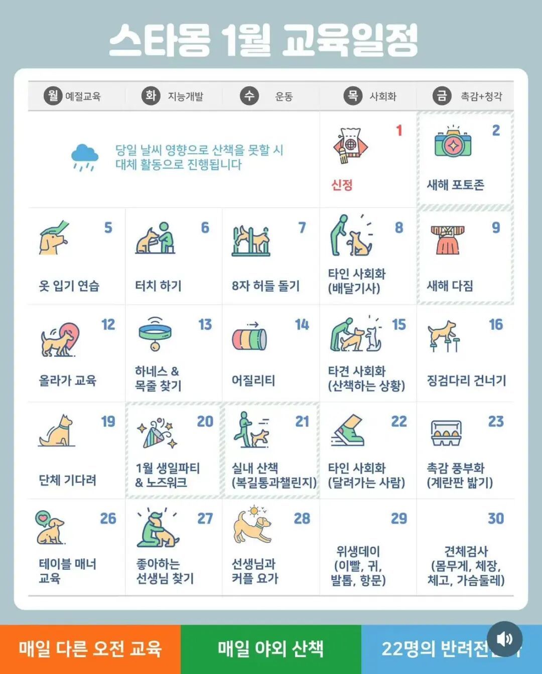 首尔江南区某狗狗幼儿园课表。(图/受访者供图)