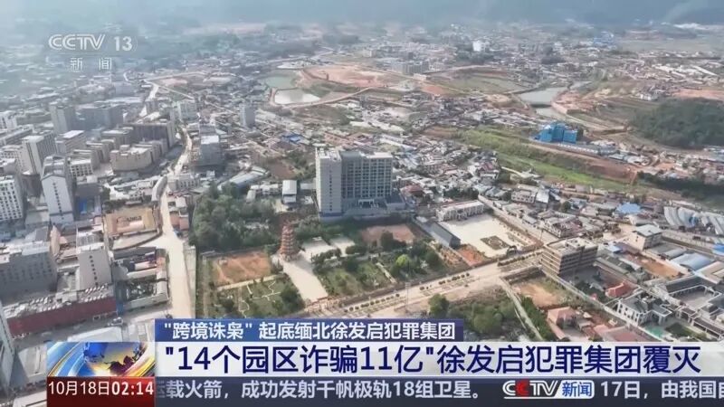 （图/央视）