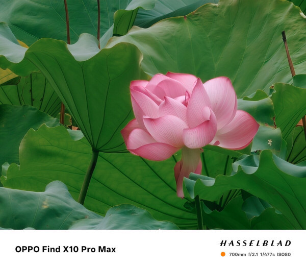 OPPO Find X10 Pro Max上手体验:原相机才是手机影像的正确打开方式