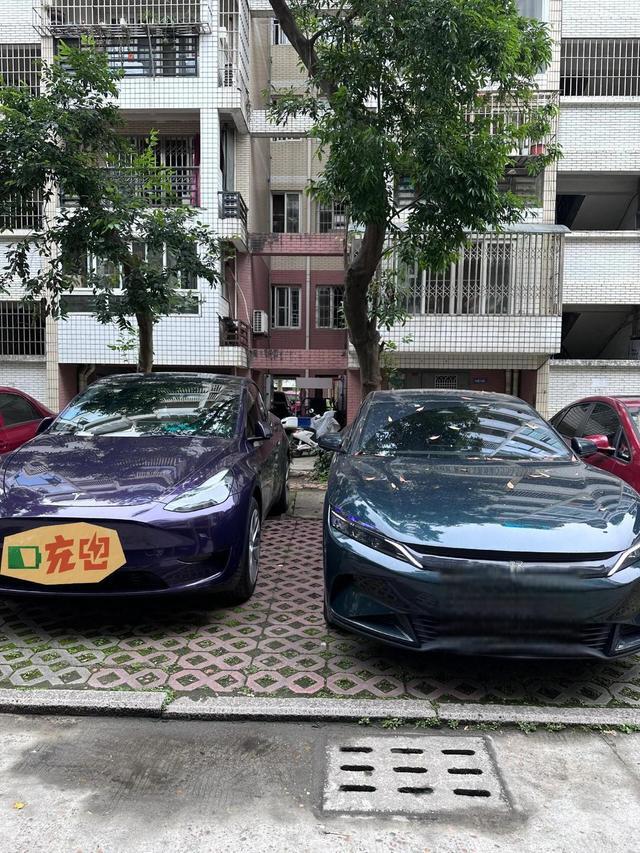 特斯拉暴涨91%，比亚迪暴跌41%！2026新能源车市大洗牌开始？-有驾