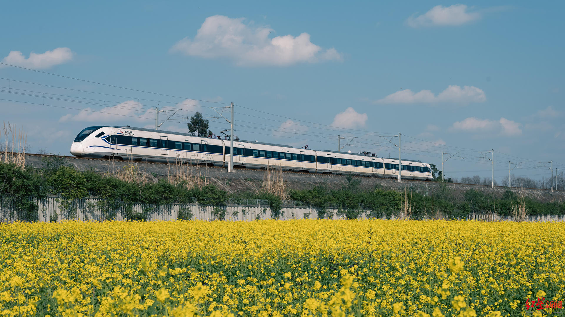 c11c93039cf25bda05225eb0793030_副本.jpg