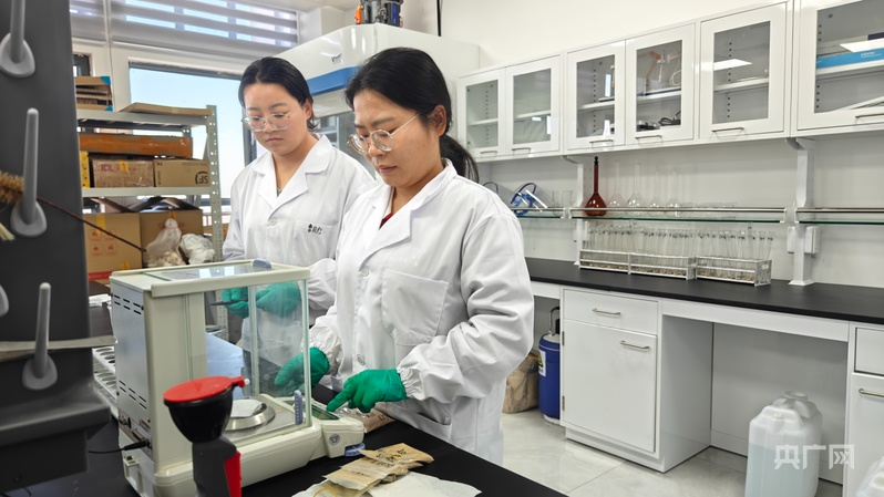 科研人员分析土壤数据 (央广网记者 郭璁悦 摄)