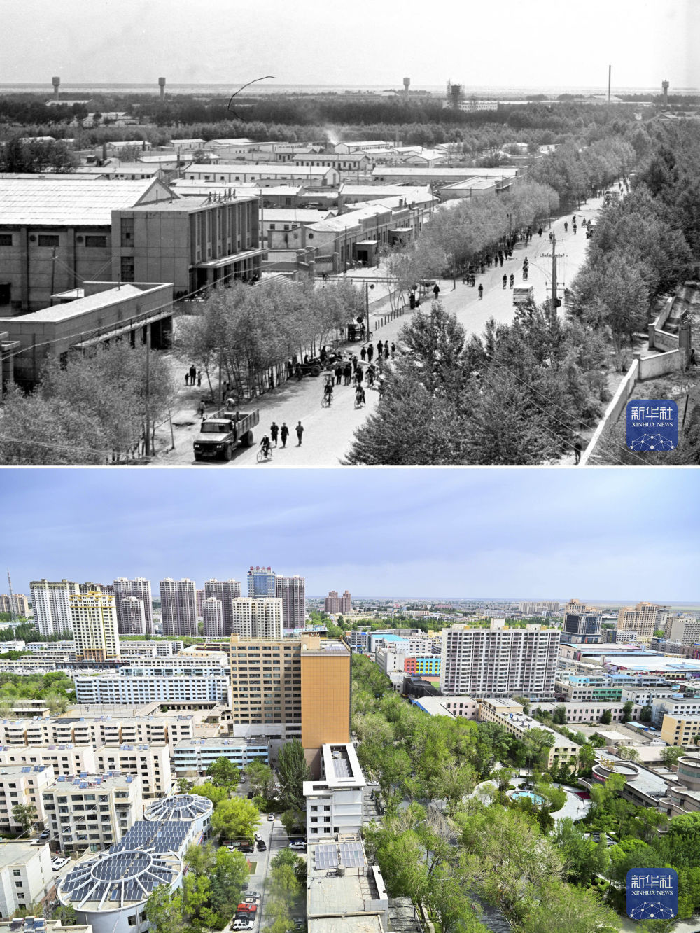 拼版照片:上图为20世纪80年代拍摄的格尔木市街景(新华社记者 土登 摄);下图为2026年6月6日拍摄的格尔木城市一角(新华社记者 张龙 摄)。