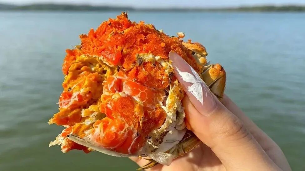 今年价格回落的幅度更大,进入市场的螃蟹更多
