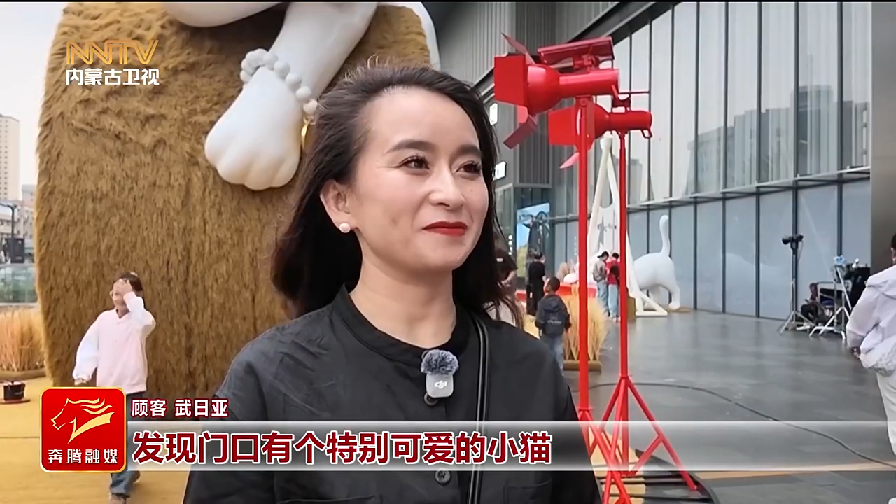 视频截图