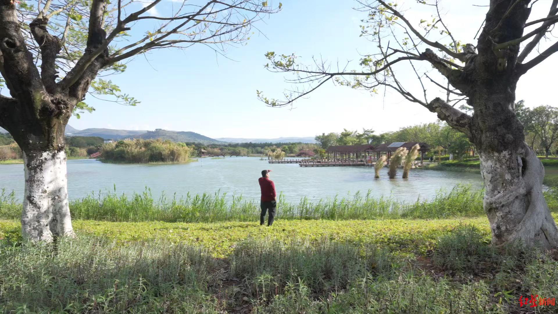 ▲高强出门散心