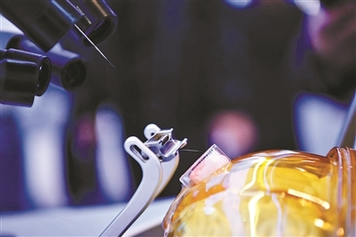 年会上展示的高通量侵入式脑机接口系统