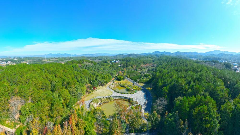 长汀河田世纪生态园(现长汀县水土保持科教园)。(本图片由长汀县融媒体中心提供)