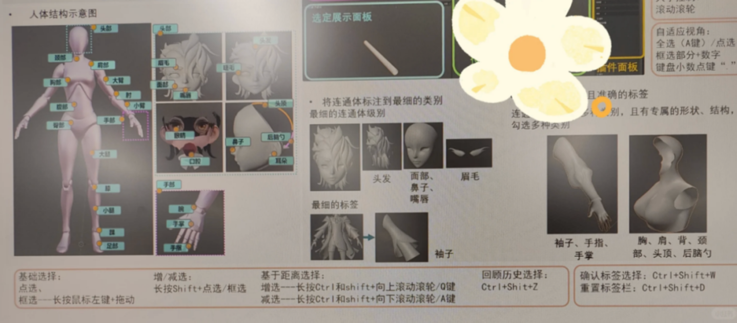 AI数据标注的工作说明指南