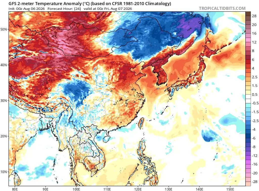 为什么人人都在追白海豚?