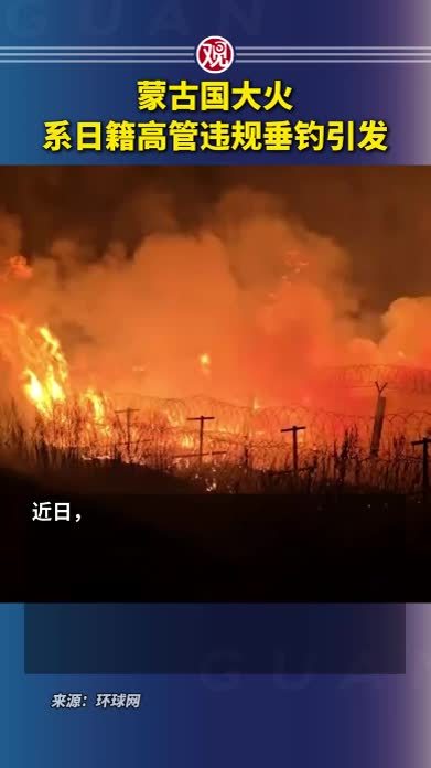 蒙古国大火系日籍高管违规垂钓引发