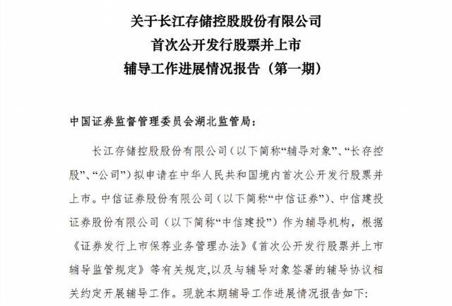 长江存储IPO辅导工作进展情况报告公示截图