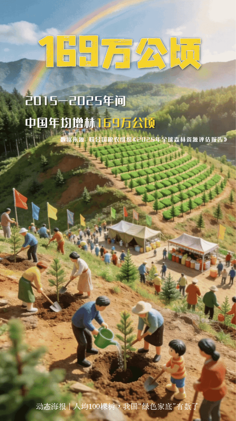 人均100棵树!一组动态海报看我国“绿色家底”
