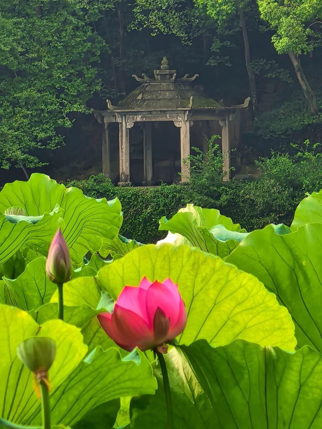 微信图片_2026-10-02_175017_457.jpg