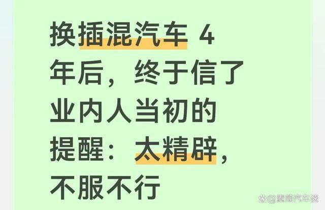 4年换插混后，才明白业内人早期提醒的要点-有驾