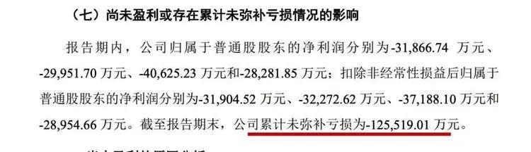 招股书披露的累计未弥补亏损相关内容