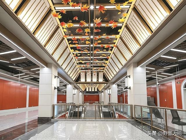 图片来源于南京新华日报