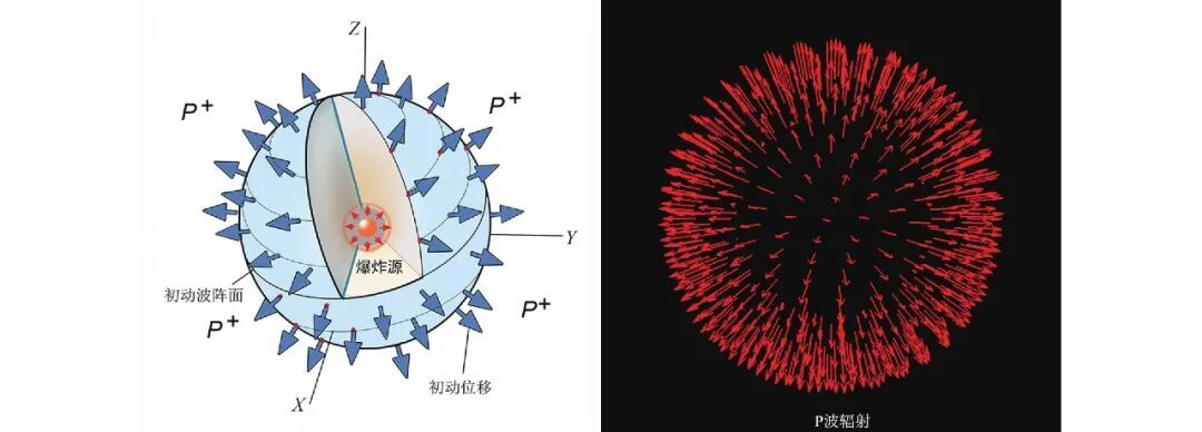 爆炸震源和P波辐射图样，P波初动方向均为远离爆炸源（图片来源：参考文献[2]）