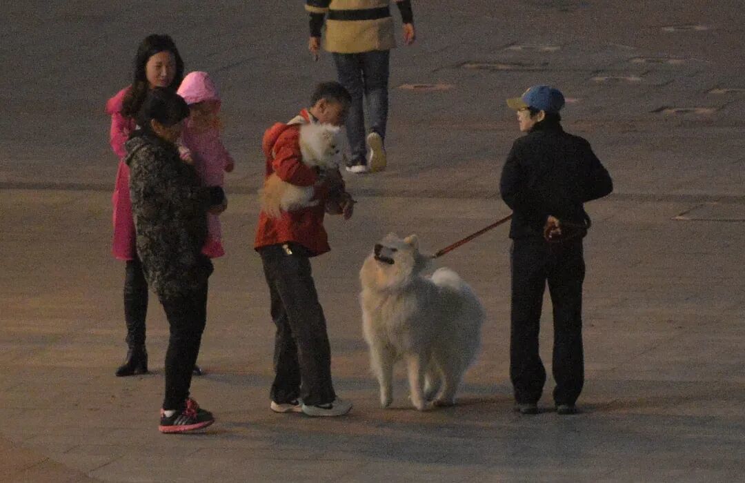 图/图虫创意