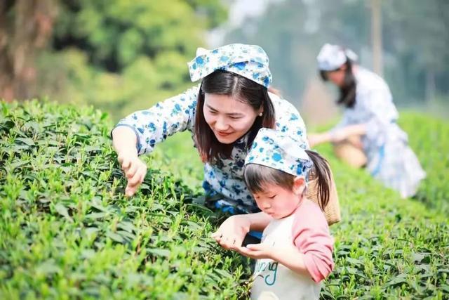 三条国家级自驾线路，为何同时“选中”雅安