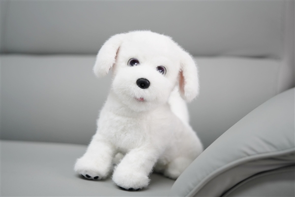 会撒娇能成长!科沃斯毛团陪伴机器人图赏