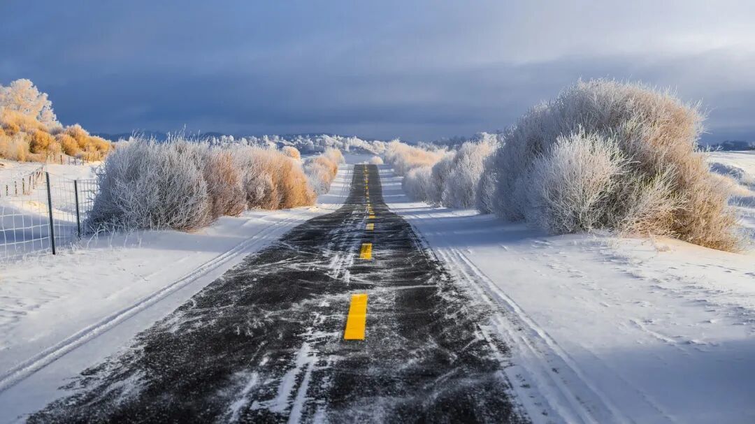 △路边霜雪覆盖枝头。(图/视觉中国)