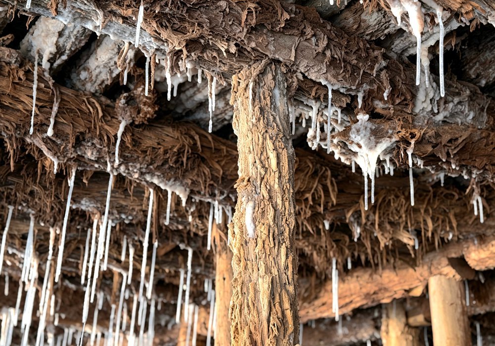 图为芒康古盐田木架下凝结天然盐晶。罗雨欣摄