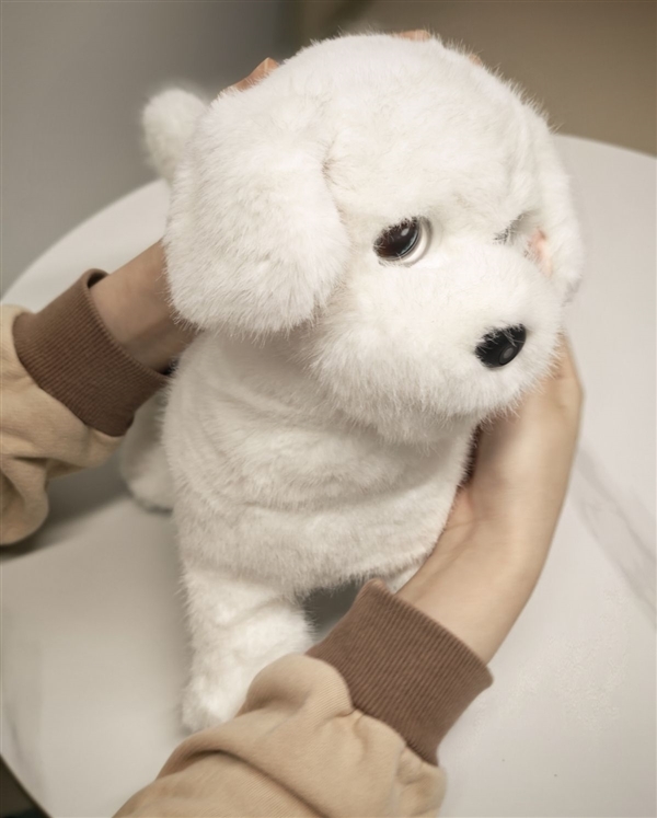 会撒娇能成长!科沃斯毛团陪伴机器人图赏