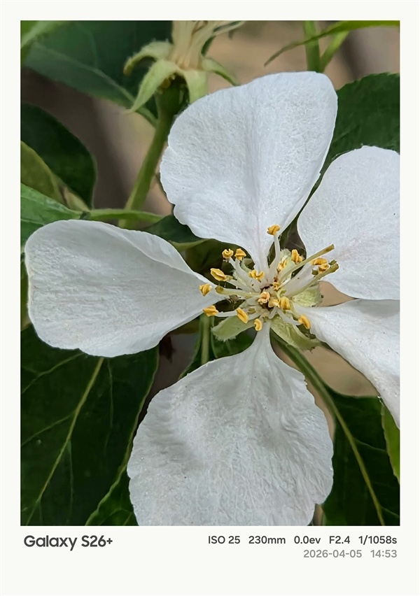 第五代骁龙8至尊版加持！三星Galaxy S26+手机体验评测：浮薄与性能兼得