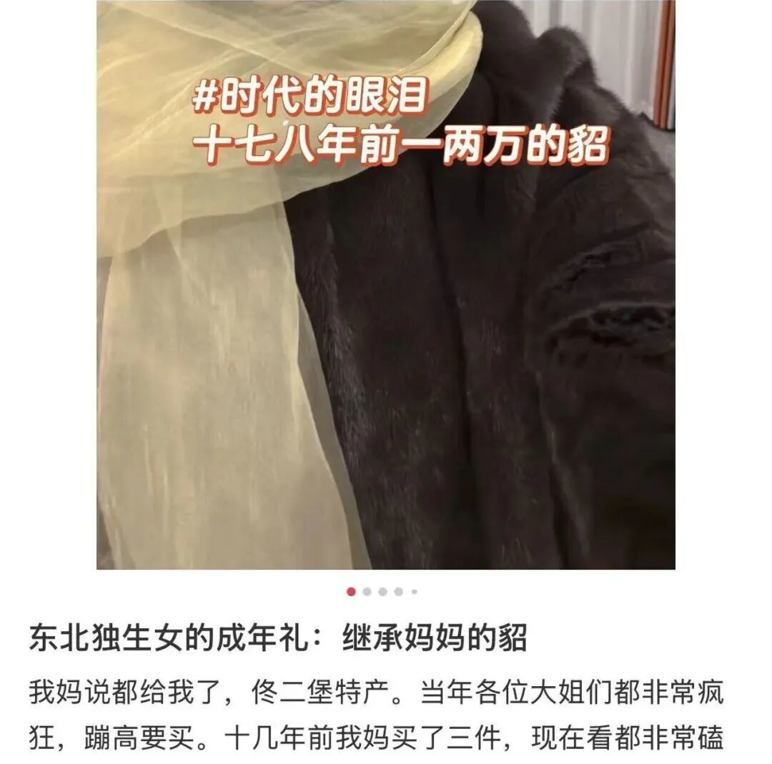 〓 图源小红书用户@退休朋克(花光n+1版