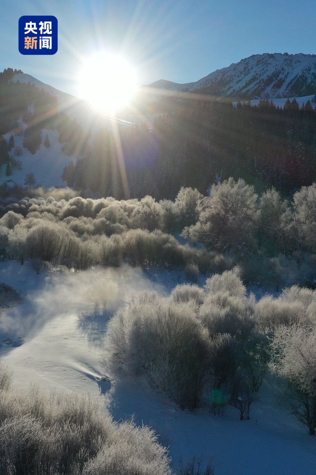 △巩乃斯冬景。摄/巴音达来