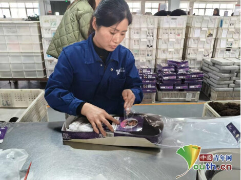 完成车间内工人包装假发。中国青年网见习记者王煜鑫 摄
