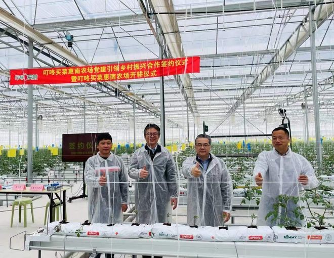 美团50亿收购叮咚买菜,难道是冲着京东来的?